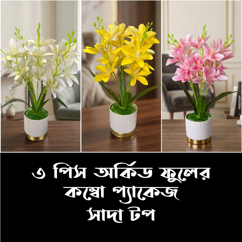 ৩ পিস অর্কিড ফুলের কম্বো কম্বো